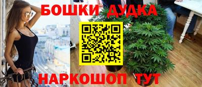 гидра Аргун