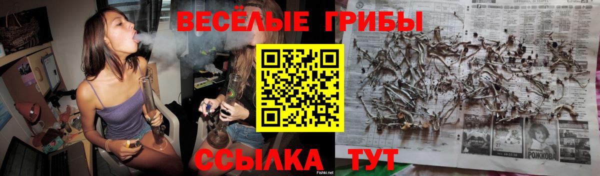Галлюциногенные грибы Cubensis  Вход с VPN  Вязники 
